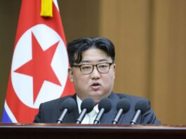 politics political north korea