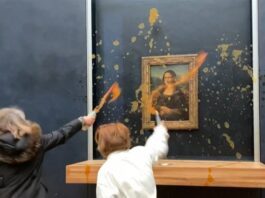 Soup is thrown at the "Mona Lisa"