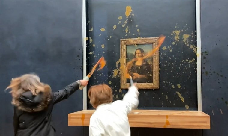 Soup, Mona Lisa, Protestors, Louvre Museum, Paris