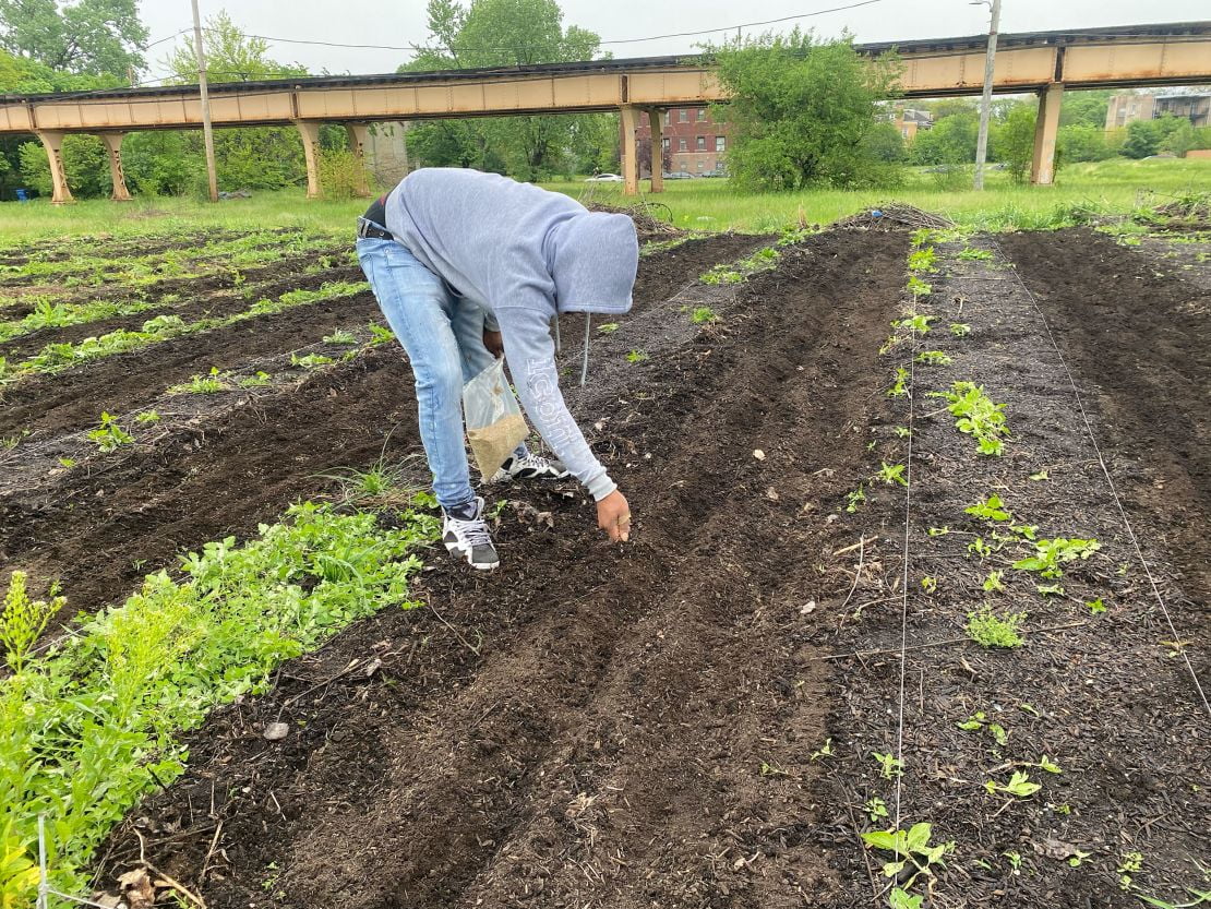 A young Chicago Eco House participant works in the soil of one of the farms run by the Blackwells.