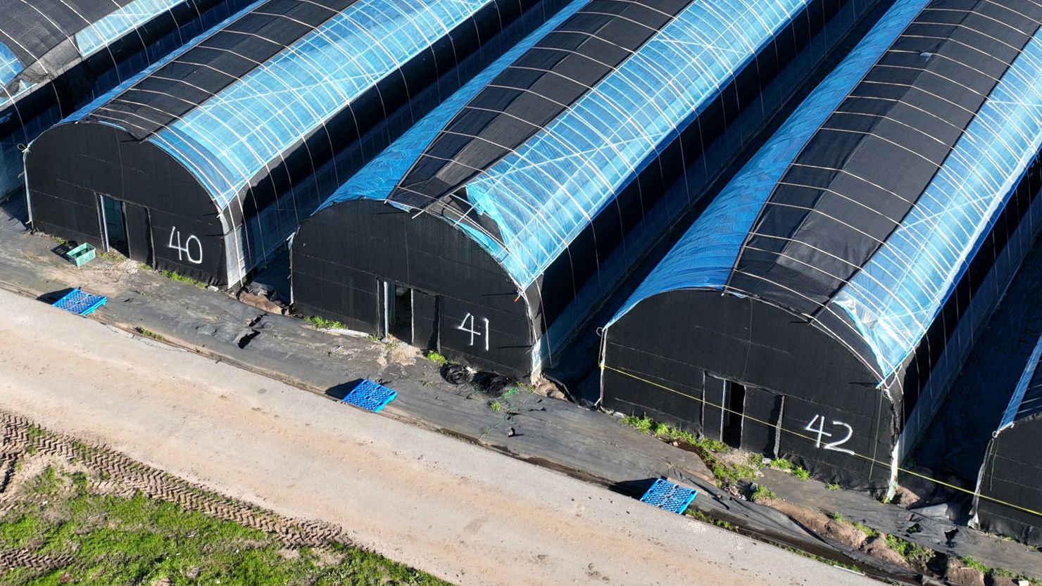 Crime scene tape is seen at the California Terra Gardens mushroom farm in Half Moon Bay, California, on January 25, 2023.