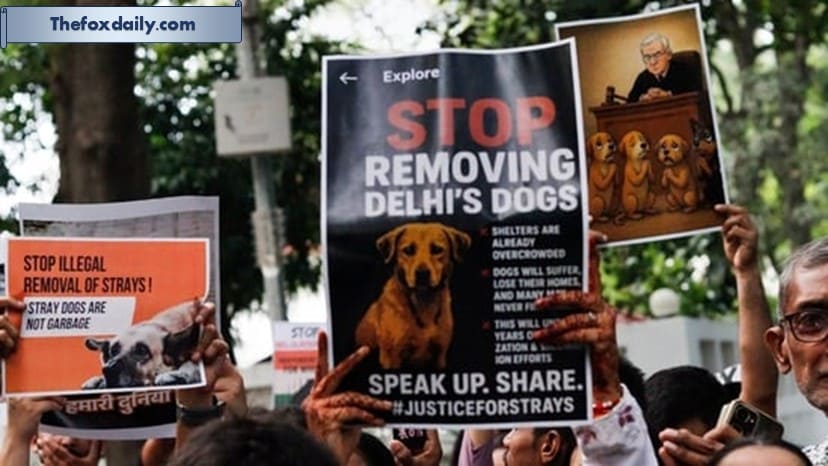 New Delhi: People hold placards during a protest in solidarity with the stray dogs.