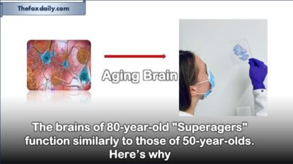 The brains of 80-year-old "Superagers" function similarly to those of 50-year-olds. Here’s why