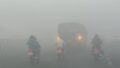Delhi-NCR Chokes Under Toxic Smog as AQI Plunges Deeper Into Severe Zone