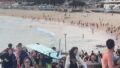 Bondi Beach Terror Attack: Two Indian Students Hospitalised, Three Injured as Probe Points to Islamic State Influence