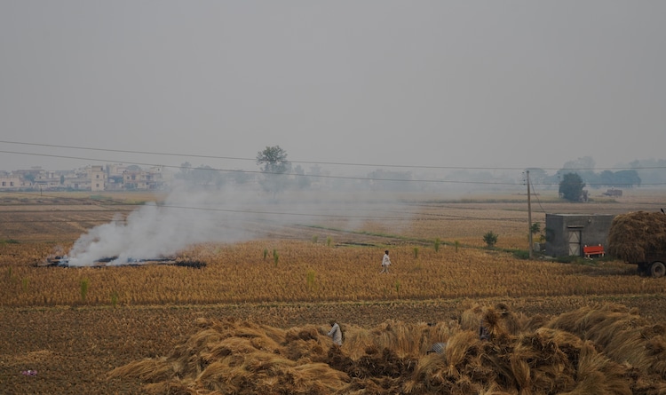 Farmer burning stubble in Haryana.