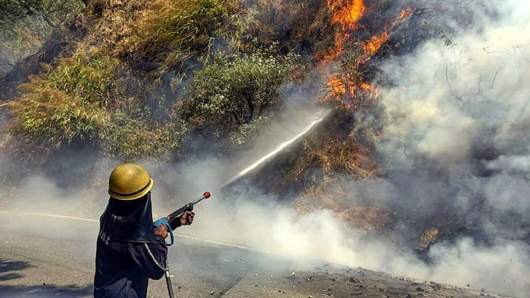 A firefighter working to extinguish a forest fire in Uttarakhand.