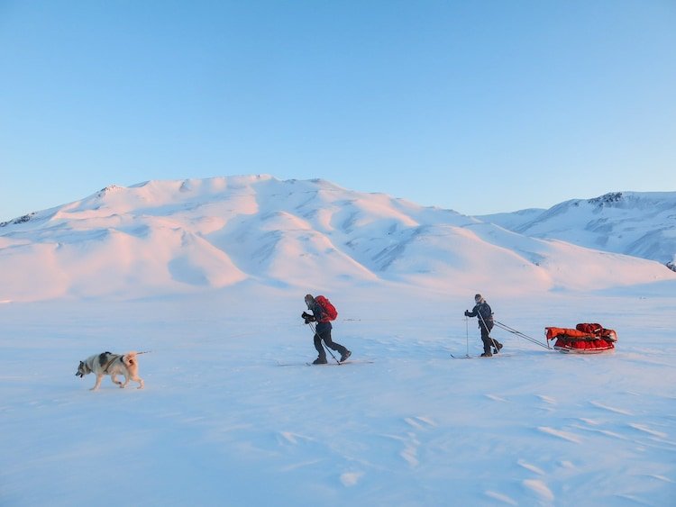 The Sirius Dog Sled Patrol is capable of combat operations and has a history of engaging militarily when required.
