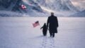 White House Shares AI-Generated Greenland Post Featuring a Penguin – Internet Delivers a Savage Reality Check