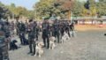 Assam Rifles to Induct More Indigenous Dog Breeds Under Atmanirbhar Bharat Push