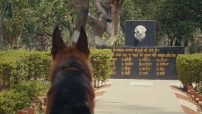 tyson army dog k9 dogs who died fighting indian military crpf jammu & kashmir terrorist militant operations