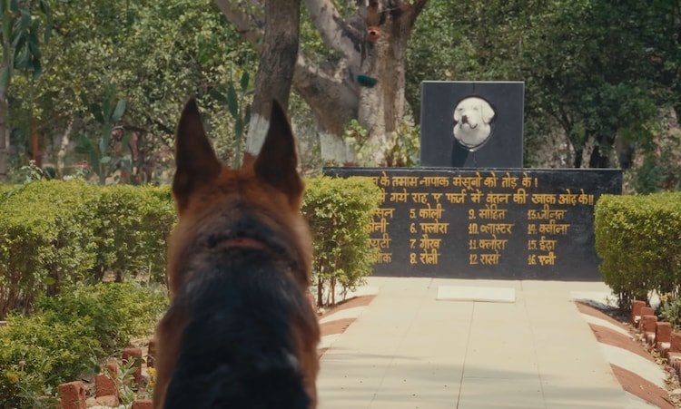 tyson army dog k9 dogs who died fighting indian military crpf jammu & kashmir terrorist militant operations