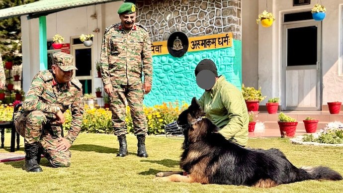 tyson army dog k9 dogs who died fighting indian military crpf jammu & kashmir terrorist militant operations