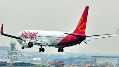 Leh-bound SpiceJet flight returns to Delhi after technical snag