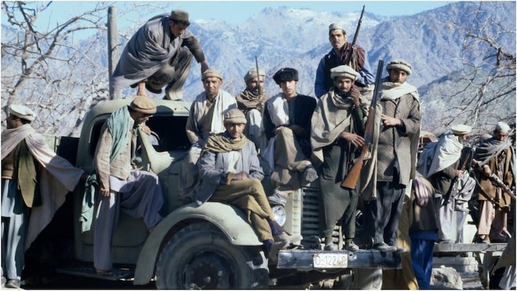 Toilet's Life Story Paper