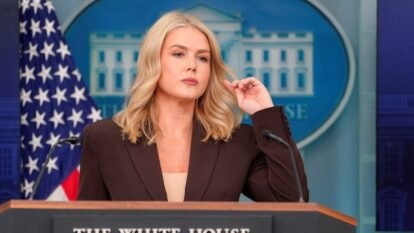 white house press secretary karoline leavitt snaps reporter trump putin hungary meeting