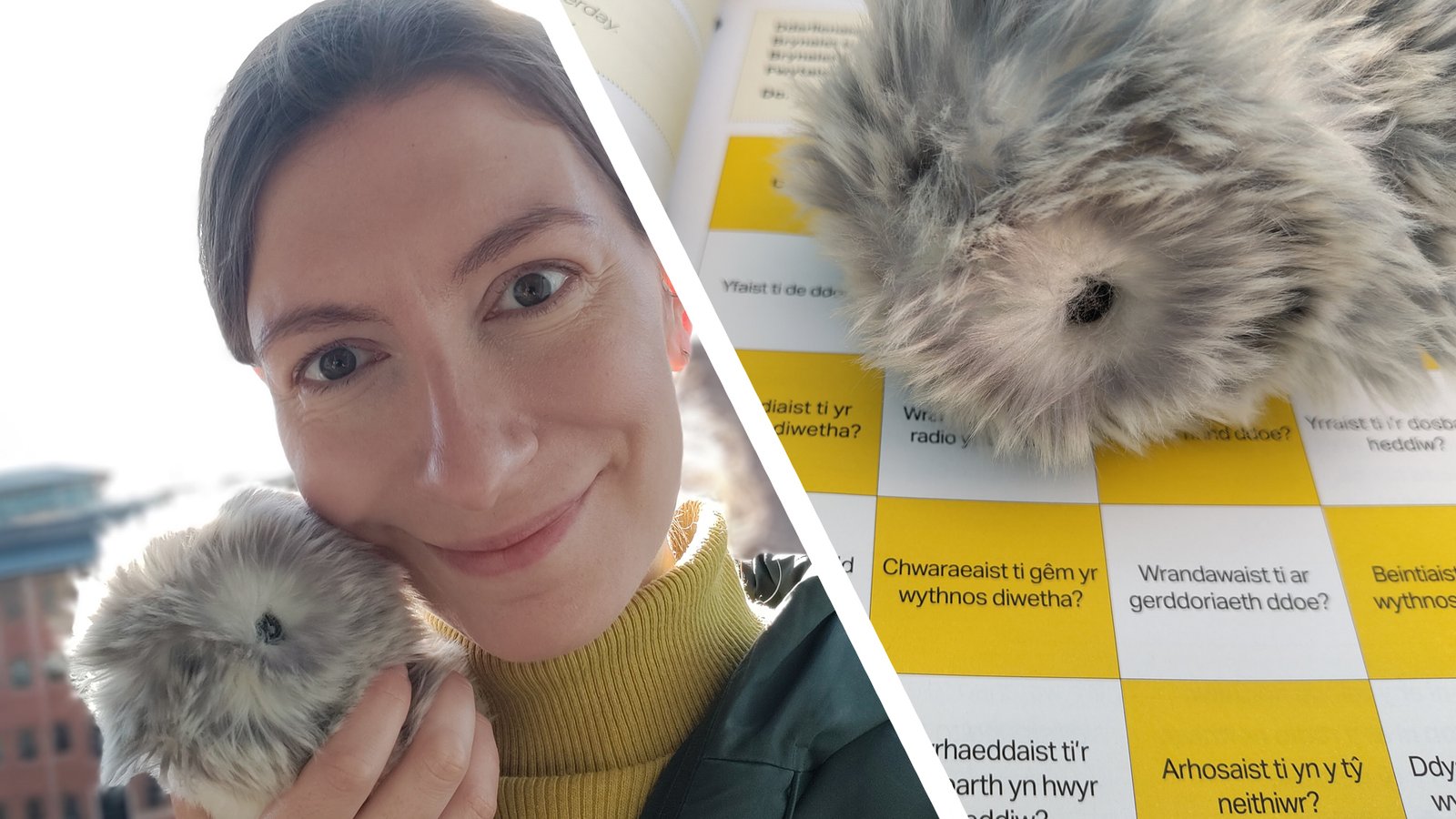 Split image of woman holding Moflin, and Moflin on Welsh language workbook
