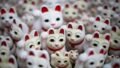 ‘Catnomics’ in Japan: How the Country’s Obsession With Cats Became a Multi-Billion-Dollar Cultural and Economic Powerhouse
