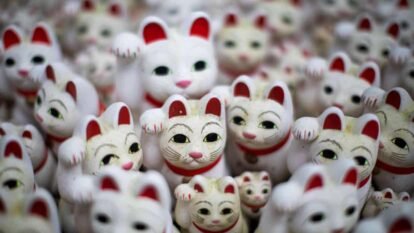 Yanaka Ginza, a neighbourhood in north-east Tokyo, is seeing a tourism boom fuelled by its historical association with cats, Japan’s most popular pet.