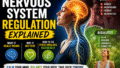 Nervous System Regulation Explained: What It Really Means, Why It Matters, and How to Fix Stress Imbalance Naturally