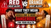Red vs Orange Heat Alerts: Which Is More Dangerous for Your Body?