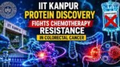 IIT Kanpur Researchers Identify Protein That Helps Colorectal Cancer Cells Resist Chemotherapy