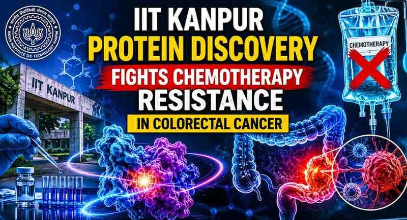 IIT Kanpur Researchers Identify Protein That Helps Colorectal Cancer Cells Resist Chemotherapy