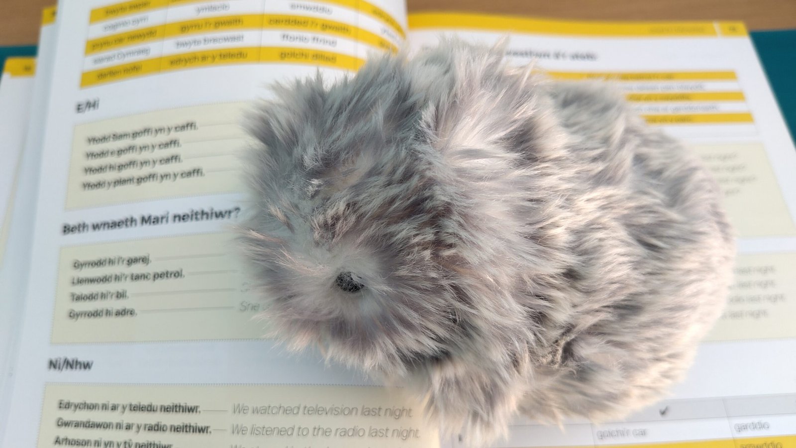 Moflin on Welsh language workbook
