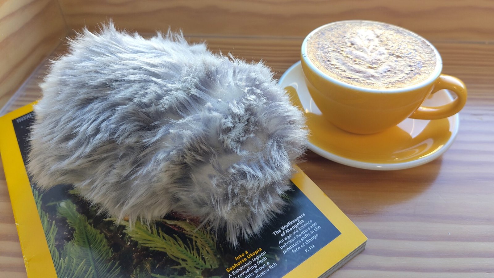 Moflin on top of magazine, beside cup of coffee