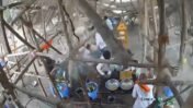 Maharashtra Temple Roof Collapse: What the Parbhani Tragedy Reveals About Religious Infrastructure Safety in India