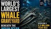 Scientists Discover World’s Largest Whale Graveyard Beneath the Indian Ocean, Revealing a 5.3-Million-Year-Old Lost Ecosystem
