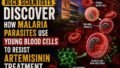 RGCB Scientists Discover New Mechanism Behind Malaria Parasite’s Drug Resistance, Raising Questions for Future Treatments