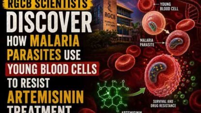 RGCB Scientists Discover How Malaria Parasites Use Young Blood Cells to Resist Artemisinin Treatment