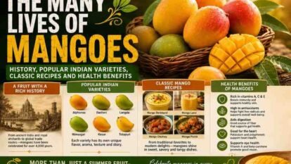 The Many Lives of Mangoes: History, Popular Indian Varieties, Classic Recipes and Health Benefits