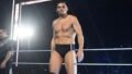 Gunther Reveals Who He Blames After WWE Night of Champions Loss