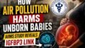 How Air Pollution Harms Unborn Babies: AIIMS Delhi Uncovers the Molecular Mechanism Behind PM Driven Foetal Damage