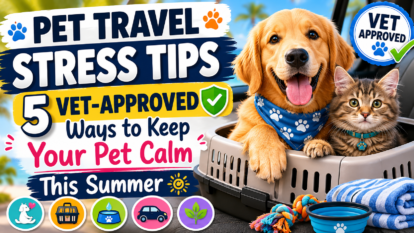Pet Travel Stress Tips: 5 Vet-Approved Ways to Keep Your Pet Calm This Summer Pet Travel Stress Tips: 5 Vet-Approved Ways to Keep Your Pet Calm This Summer