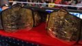 Heidenreich Admits He Can No Longer Wrestle as Former WWE Champion Accepts Retirement Reality