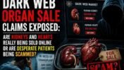 Dark Web Organ Sale Claims Exposed: Are Kidneys and Hearts Really Being Sold Online or Are Desperate Patients Being Scammed?