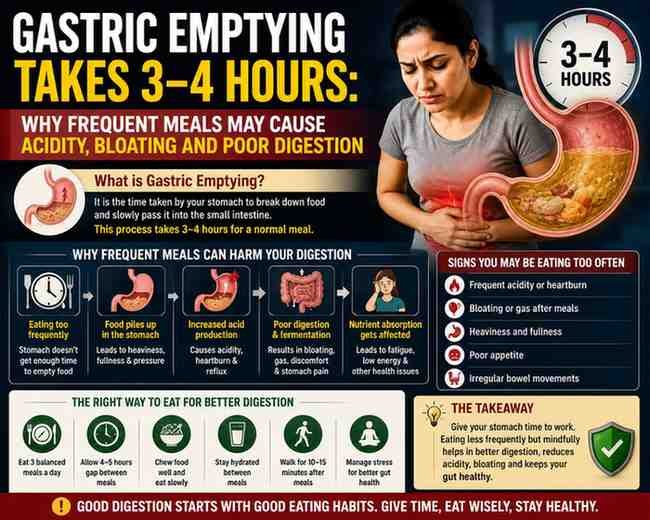 Gastric Emptying Takes 3–4 Hours: Why Frequent Meals May Cause Acidity, Bloating and Poor Digestion