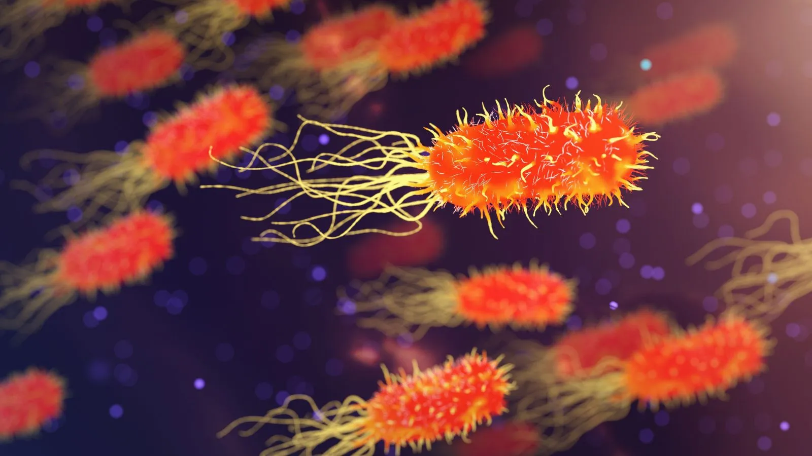 Legionnaires’ Disease Outbreak in New York City: Symptoms, Causes, Risk Factors, Prevention, and What the Fourth Death Means