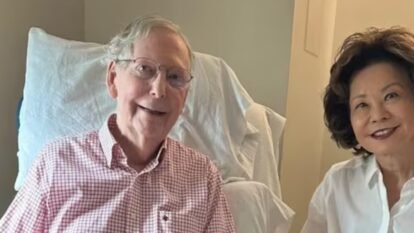 Mitch McConnell vs Elaine Chao Net Worth: Who Is Richer? A Look at Their Wealth, Career, Investments, and Financial Journey