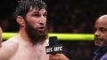 Daniel Cormier Backs Magomed Ankalaev for UFC Light Heavyweight Title Fight Against Carlos Ulberg