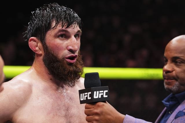 Daniel Cormier Backs Magomed Ankalaev for UFC Light Heavyweight Title Fight Against Carlos Ulberg