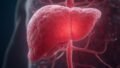 India’s Hepatitis Elimination Mission 2030: Strategy, Challenges, and the Road Ahead