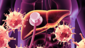 Think Liver Disease Is Only Caused by Alcohol? Common Myths You Need to Stop Believing