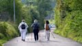 Unhealthy Lifestyle After 75: Why Cardiovascular Disease Risk Still Rises—and What You Can Do About It
