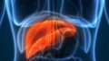 What Your ALT Level Can Reveal About Liver Health: Understanding Alanine Aminotransferase and Why It Matters