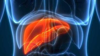 What Your ALT Level Can Reveal About Liver Health: Understanding Alanine Aminotransferase and Why It Matters What Your ALT Level Can Reveal About Liver Health: Understanding Alanine Aminotransferase and Why It Matters