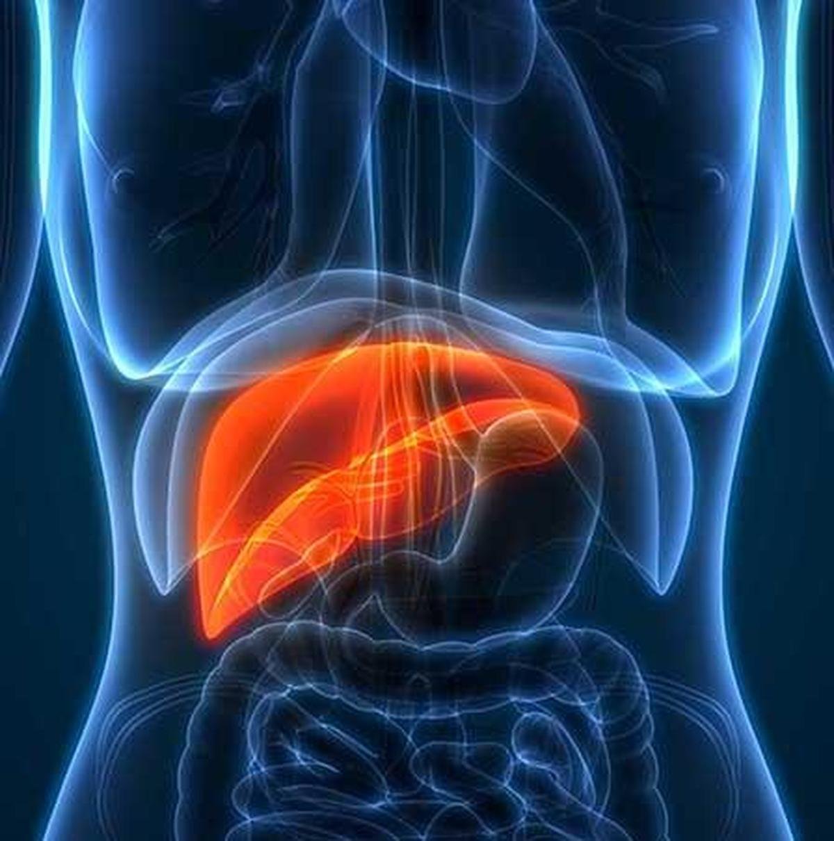 What Your ALT Level Can Reveal About Liver Health: Understanding Alanine Aminotransferase and Why It Matters